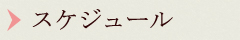 スケジュール