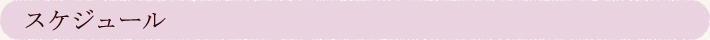 スケジュール
